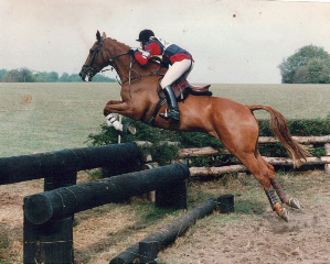 Benny eventing - photo