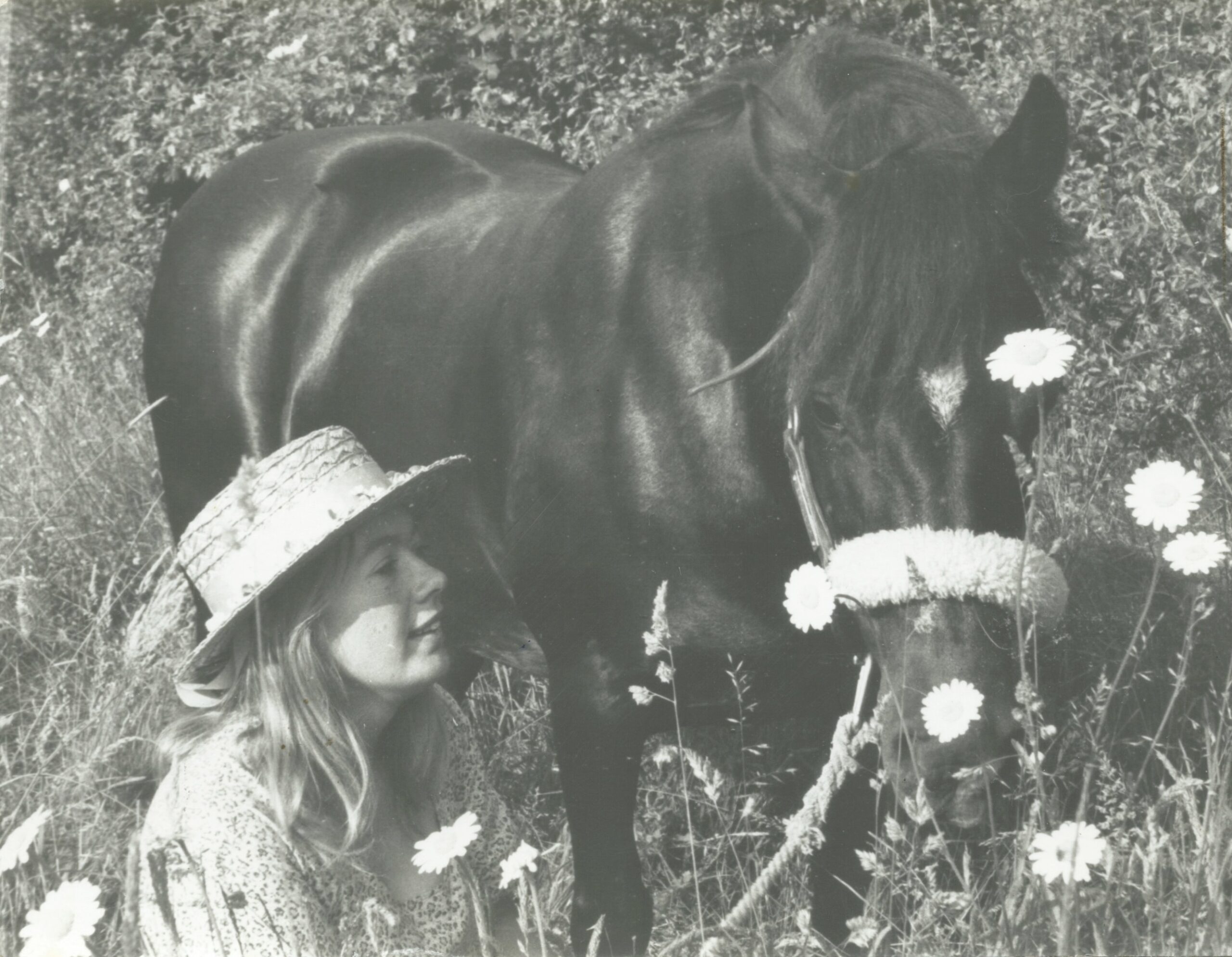 Babette Cole with Promise in the grass